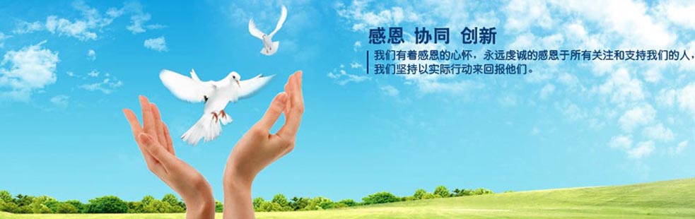 成功案例